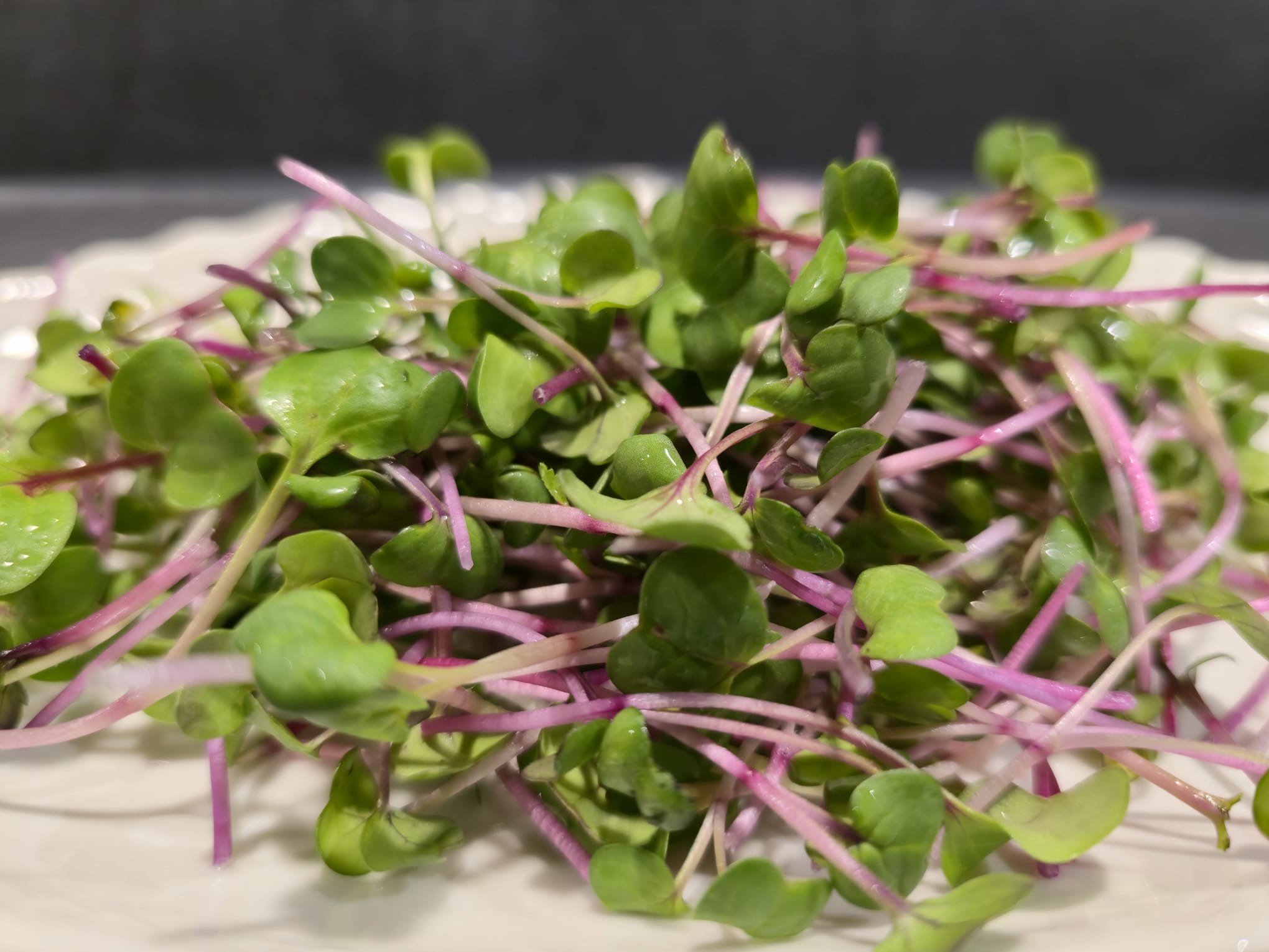 Microgreens